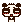 nono生日快乐